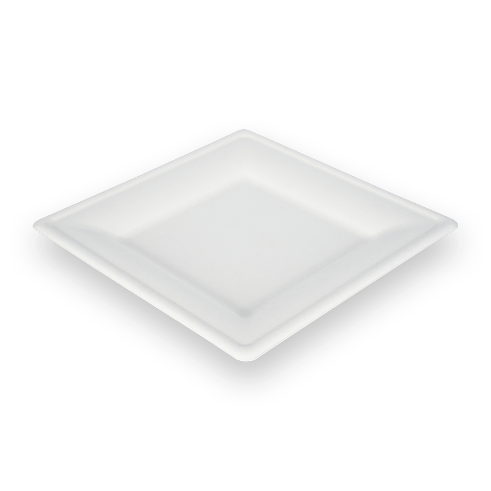 10 Inch Square Biodegradable Tray