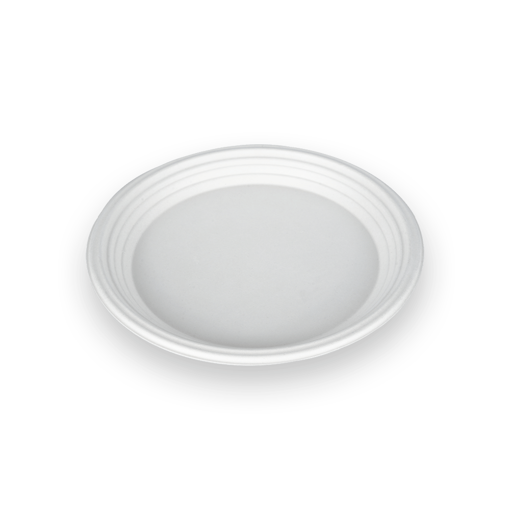 10 Inch  Deep Plate