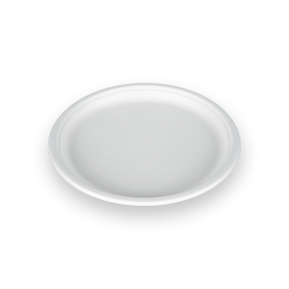8 Inch Biodegradable Plate