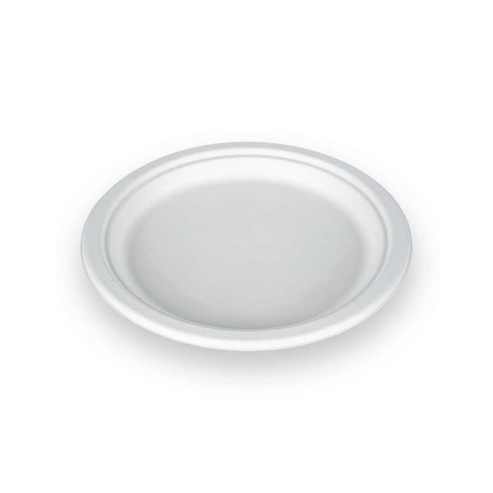 9 Inch Biodegradable Plate