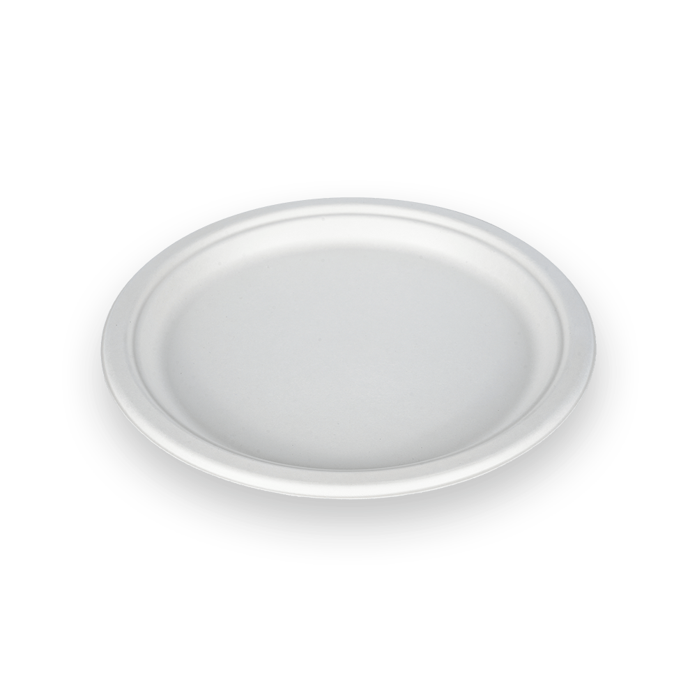Big 9 Inch Plate
