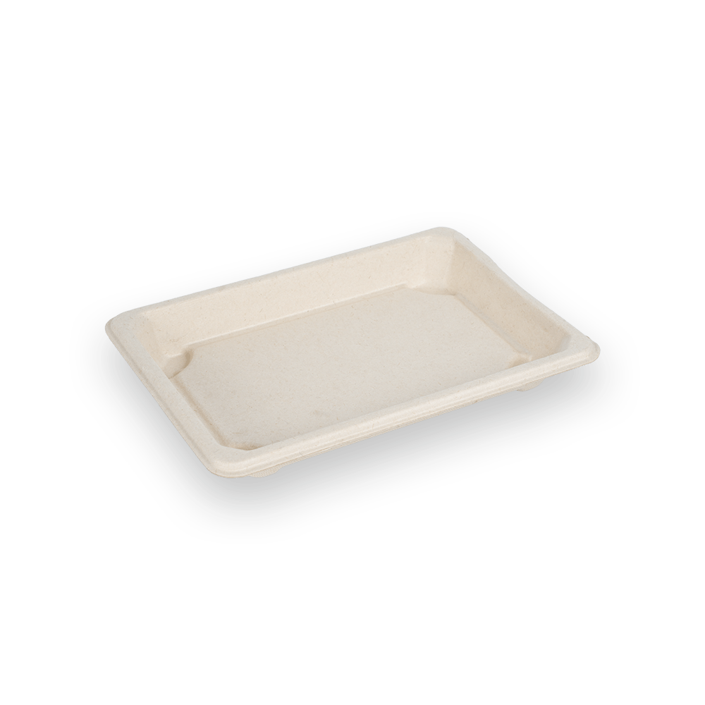 Sushi tray 10