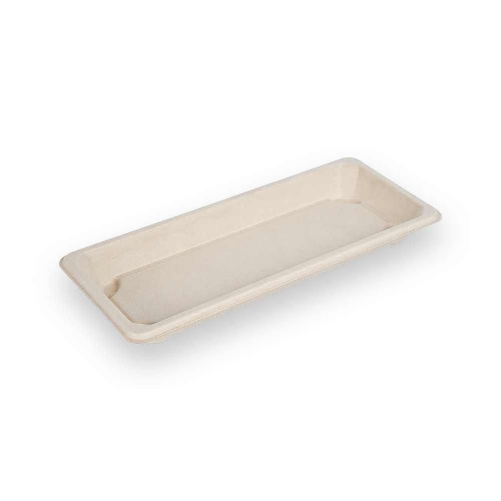Sushi tray 06