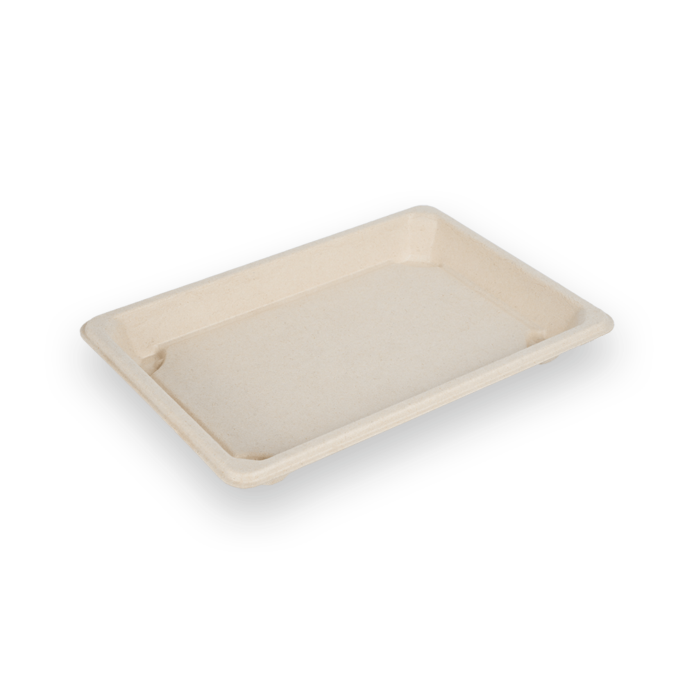 Sushi tray 08