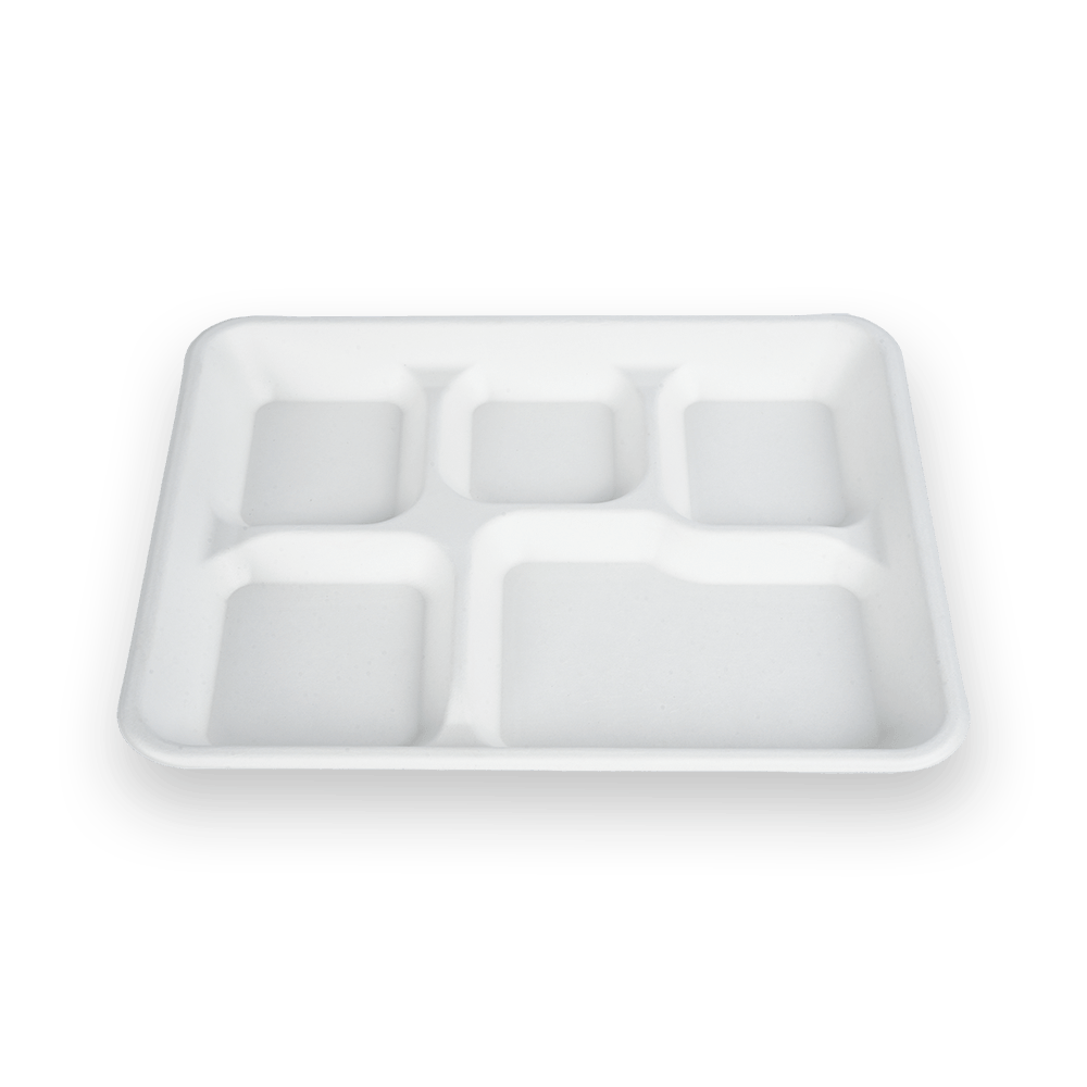 Shallow 5 Compartments Tray