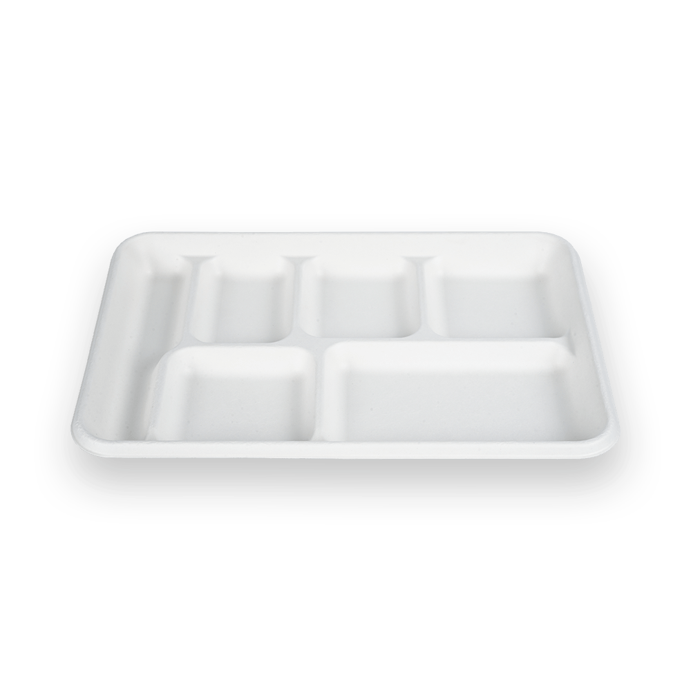 6 Compartment Tray
