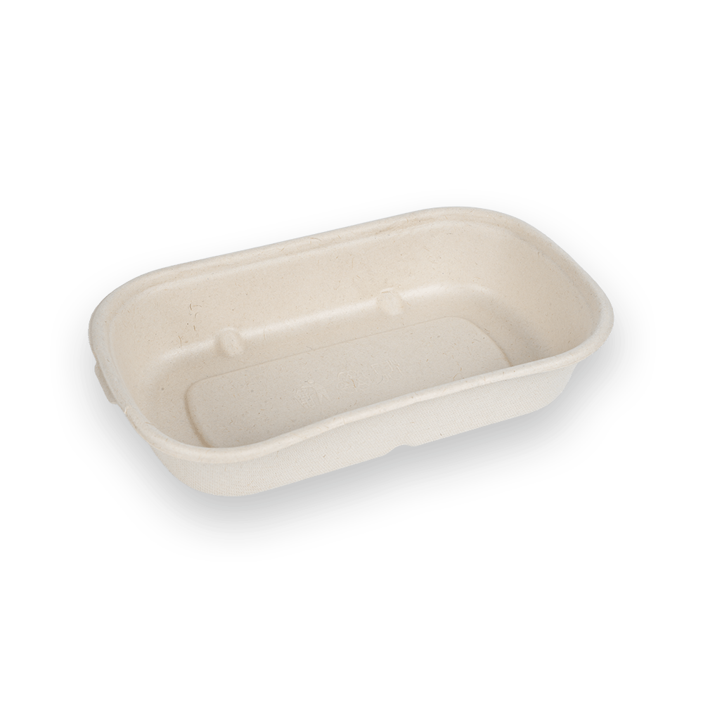 N500 food container N500 food container