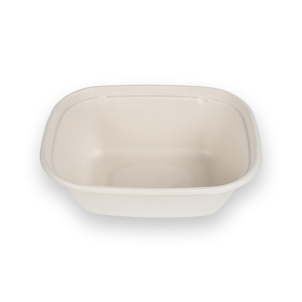 CT1300ml Food container