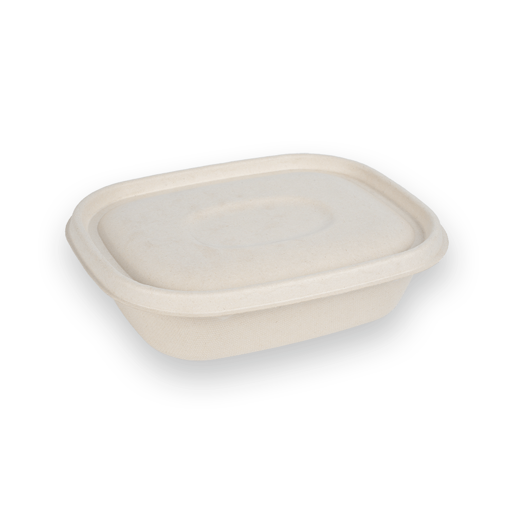CT1100 takeaway box + lid