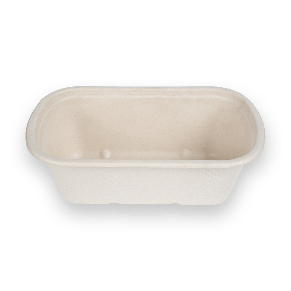 N1000 food container