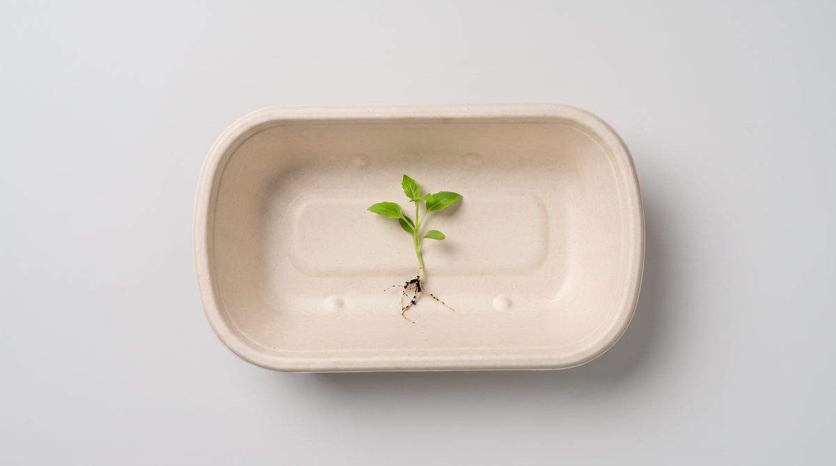 Compostable sugarcane bagasse tableware plates