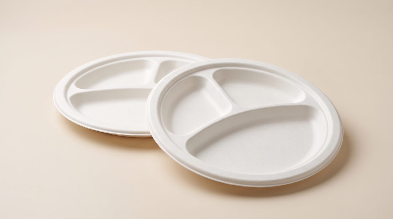 Bagasse 3-compartment plates for combo meal service