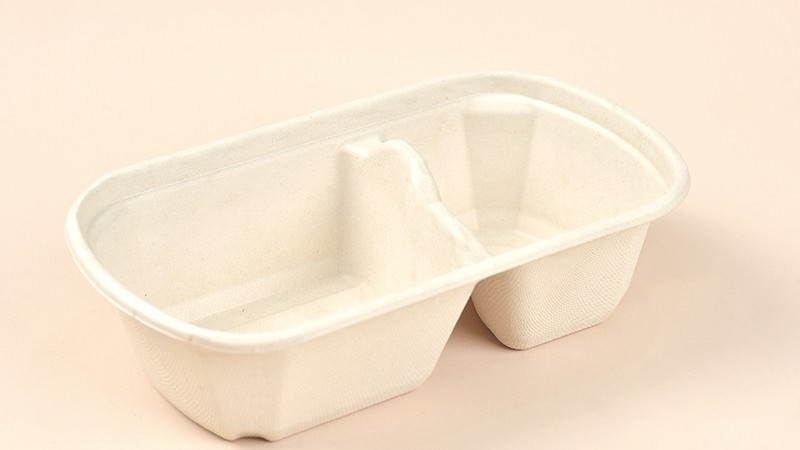 Bagasse food container used with hot and saucy food